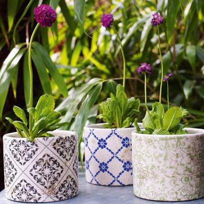 How To Plant Tulips In Pots Fine Gardening Container Idea Phormium Impatiens Etc