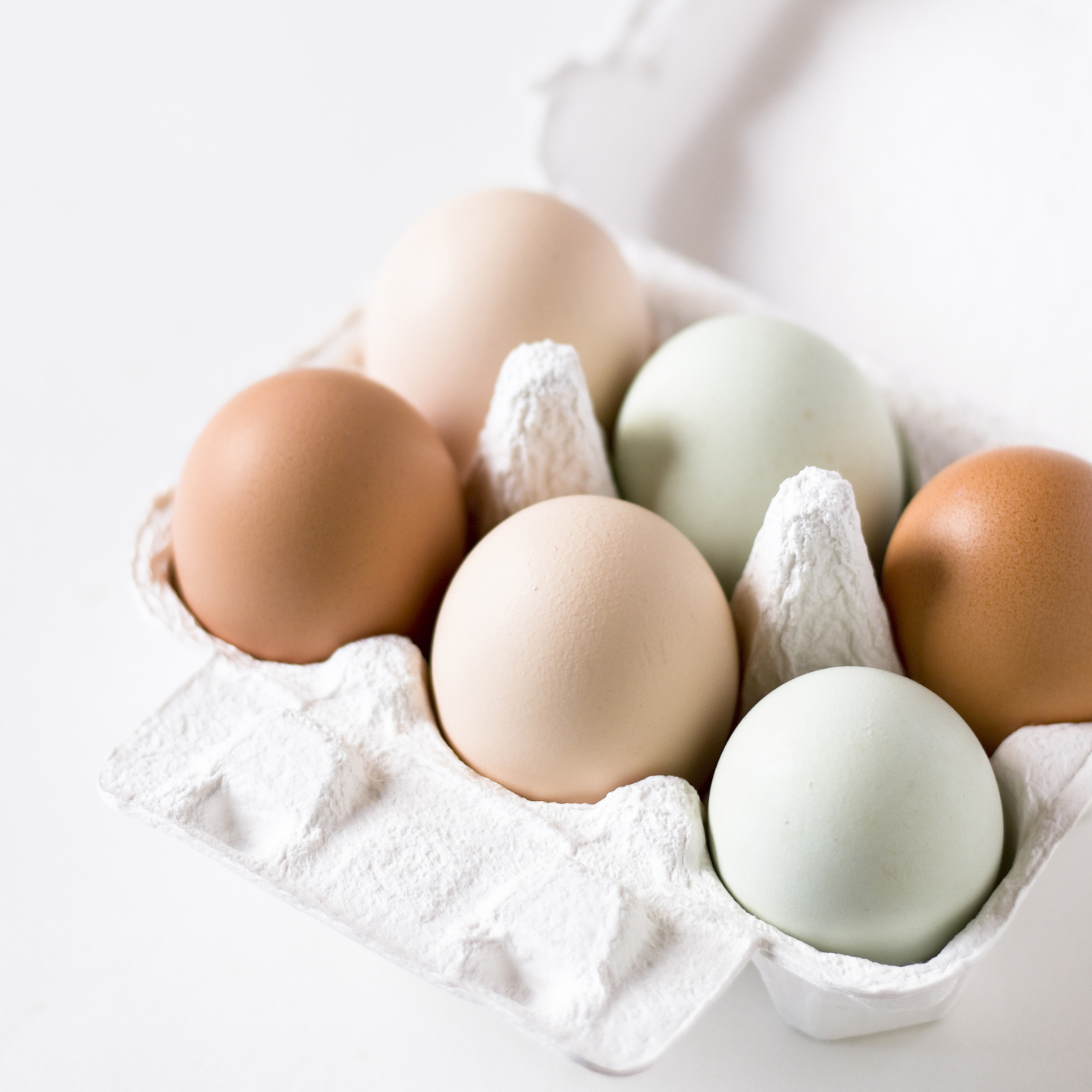 Why you should never store your eggs in the fridge door Red Online