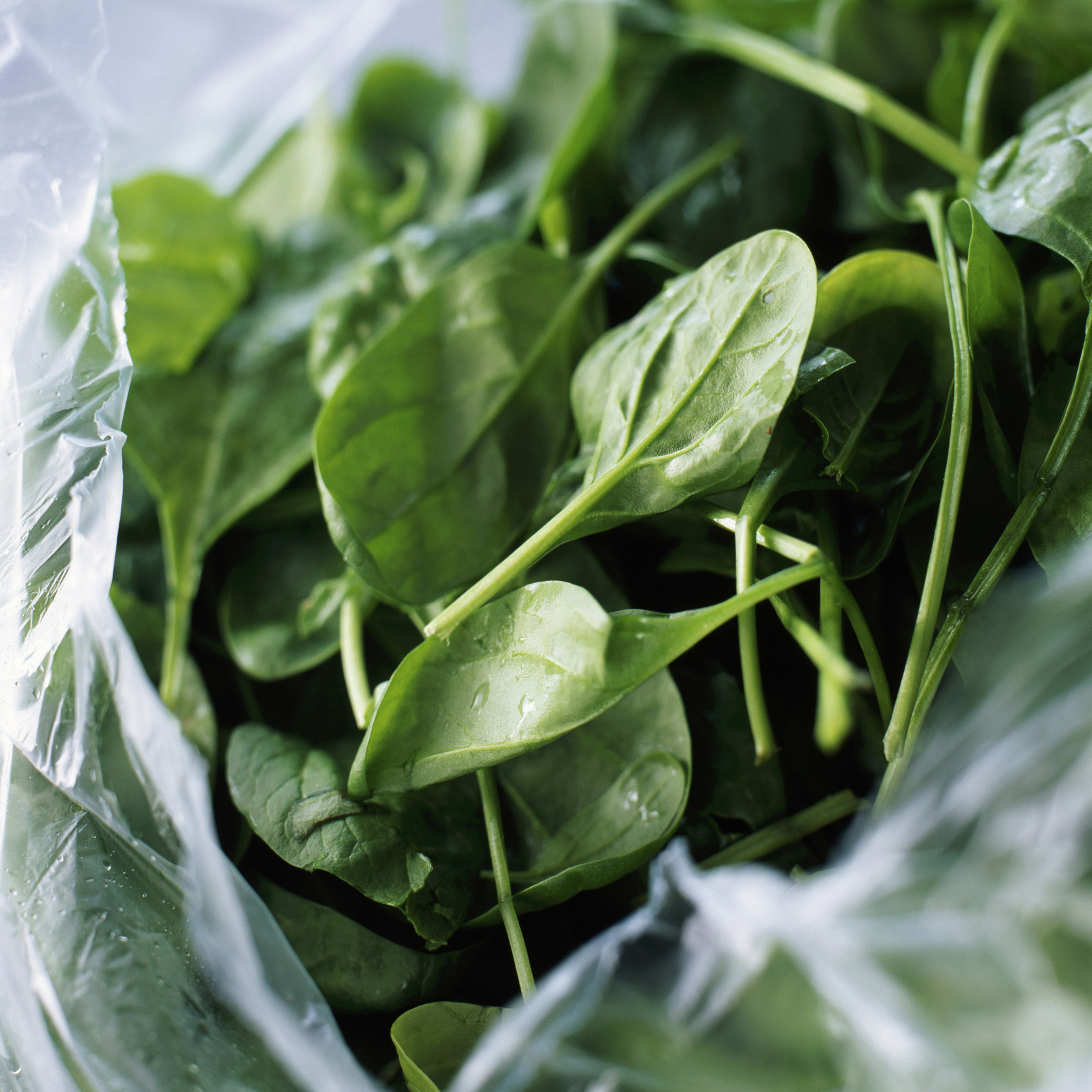 This easy hack will stop your salad leaves from going soggy in the bag