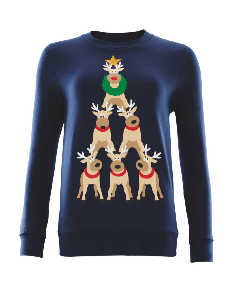 Aldi is selling matching Christmas jumpers for you and your dog Red