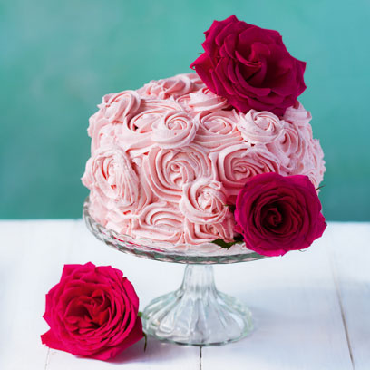 Cake Decorating Shop Willoughby Cake Decorating Shop Willoughby